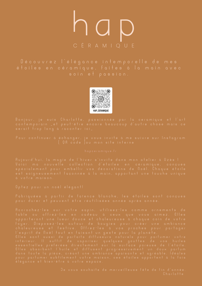 ETOILE EN CERAMIQUE EN GRES - HAP CERAMIQUE