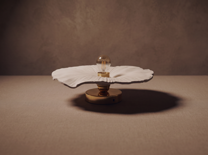 Corolle | Terre mêlée Terracotta/Blanc